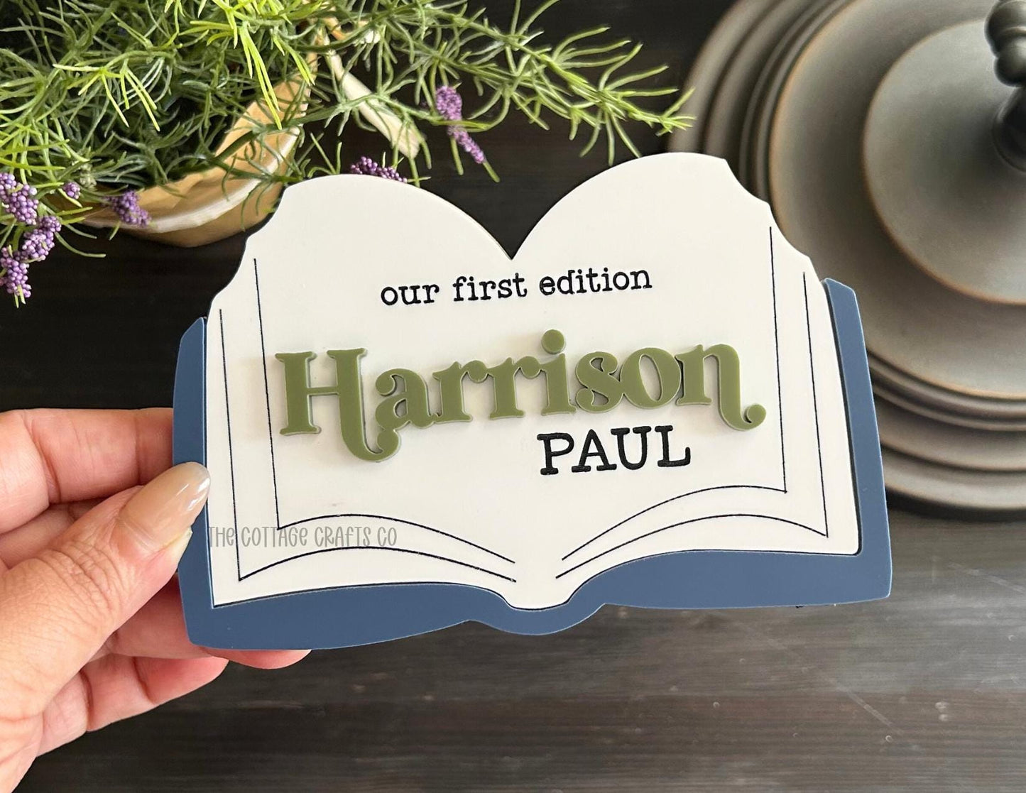 baby name announcement sign, baby name sign, baby name sign for hospital, hospital name sign, birth stats sign, first edition,