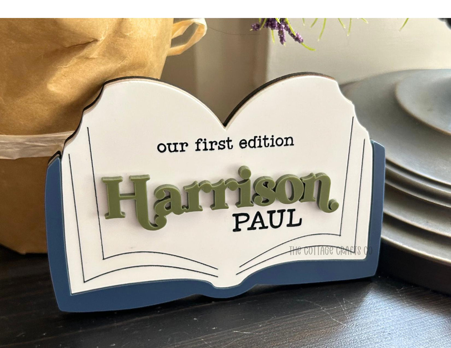 baby name announcement sign, baby name sign, baby name sign for hospital, hospital name sign, birth stats sign, first edition,