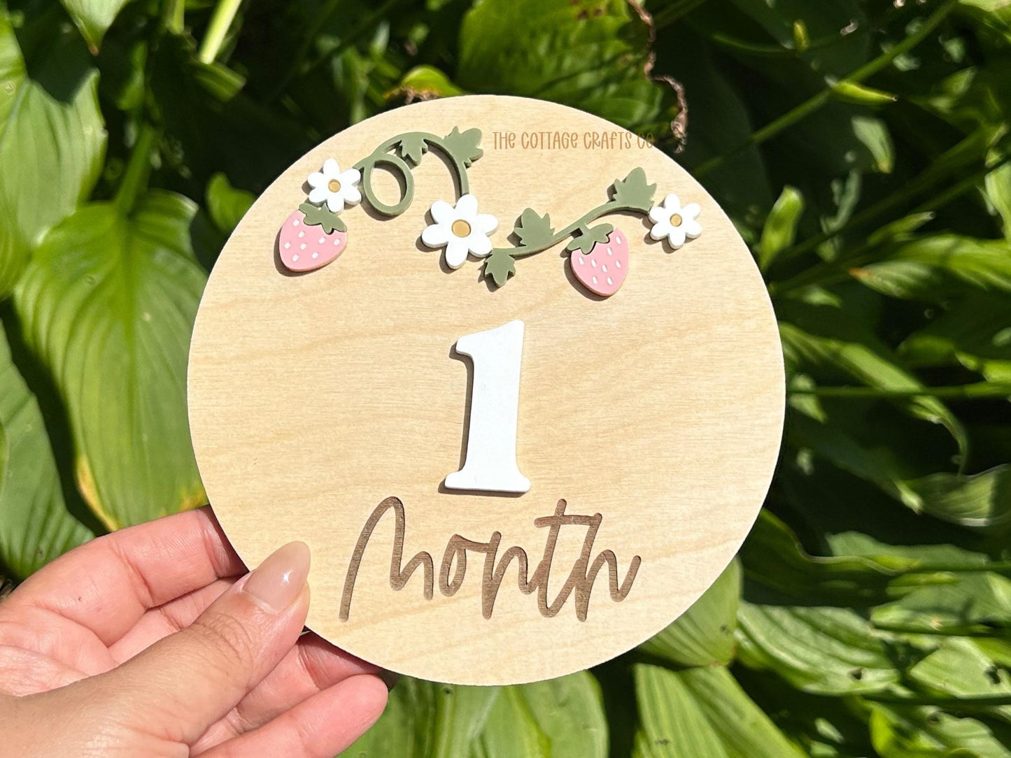Strawberry Name Announcement Sign, DaisyName Sign, Baby Name Sign,Fresh 48 Name Plaque,Hi My Name Is,Newborn Photo Prop,