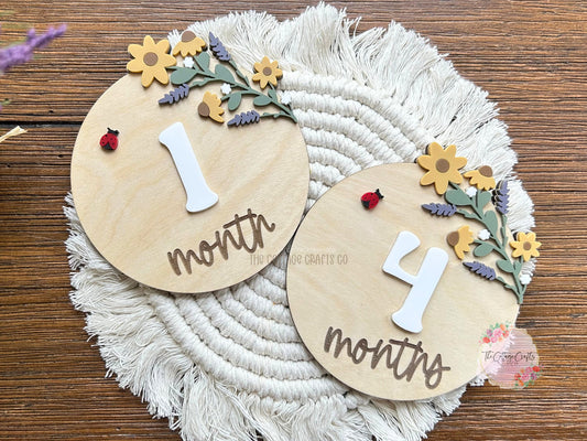 Baby Milestone Monthly Markers, Birth Announcement, Name Sign, Baby Name Sign,Fresh 48 Name Plaque,Hi My Name Is,Newborn Photo Prop