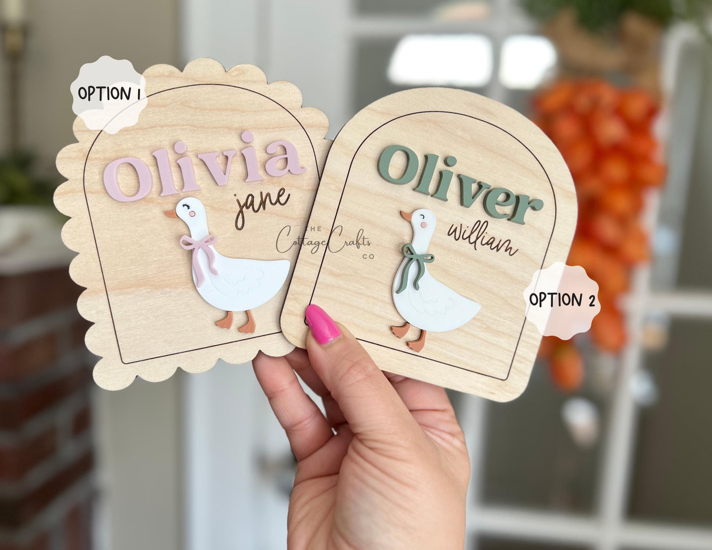 Goose Birth Announcement Sign: Personalized Newborn Photo Prop