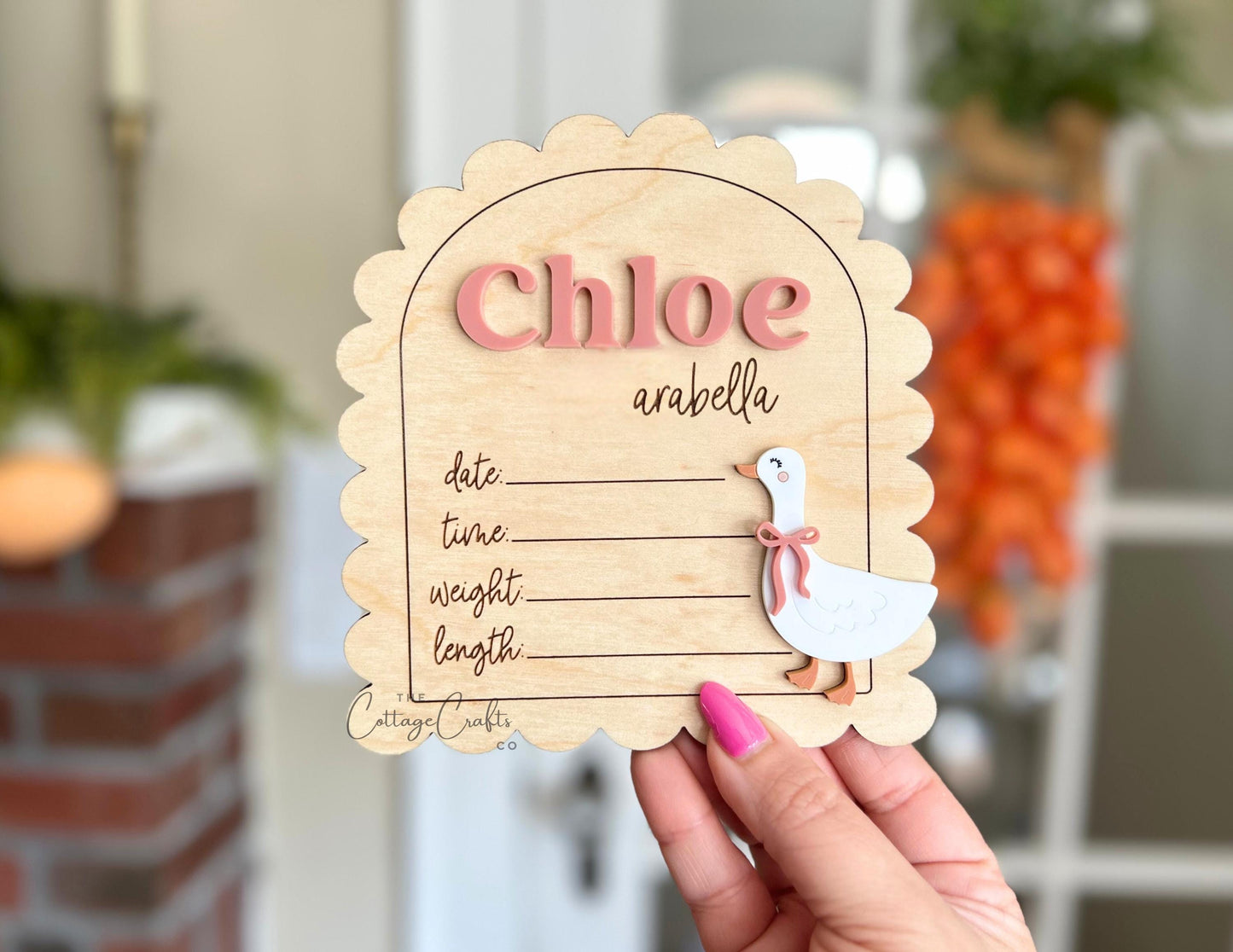 Goose Birth Announcement Sign: Personalized Newborn Photo Prop