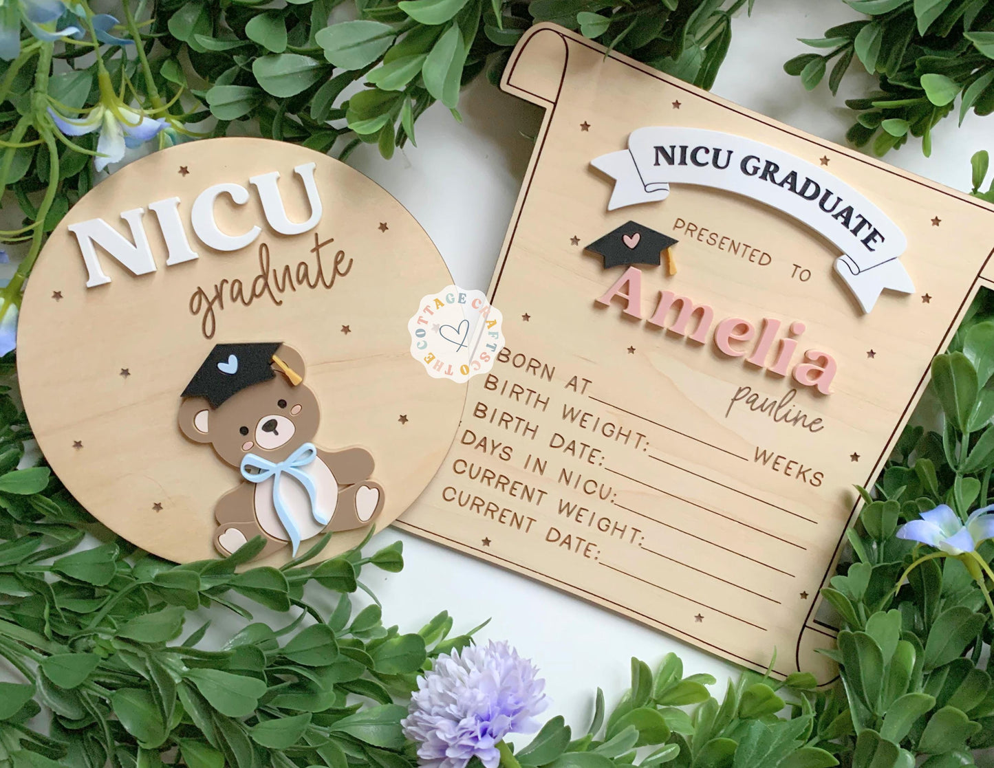 NICU Graduate Bear Sign: Newborn Photo Prop, Hospital Gift