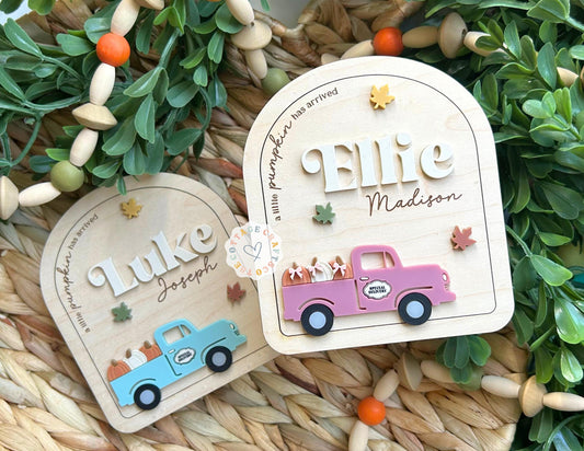 Personalized Autumn Baby Name Sign: Newborn Photo Prop