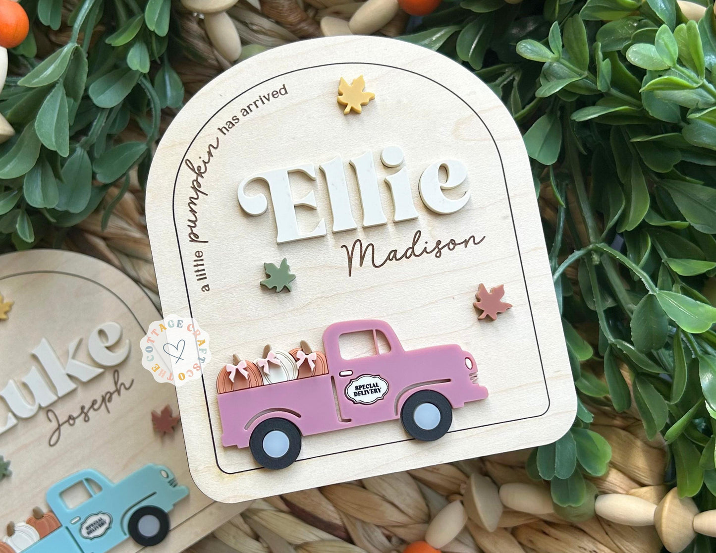 Personalized Autumn Baby Name Sign: Newborn Photo Prop