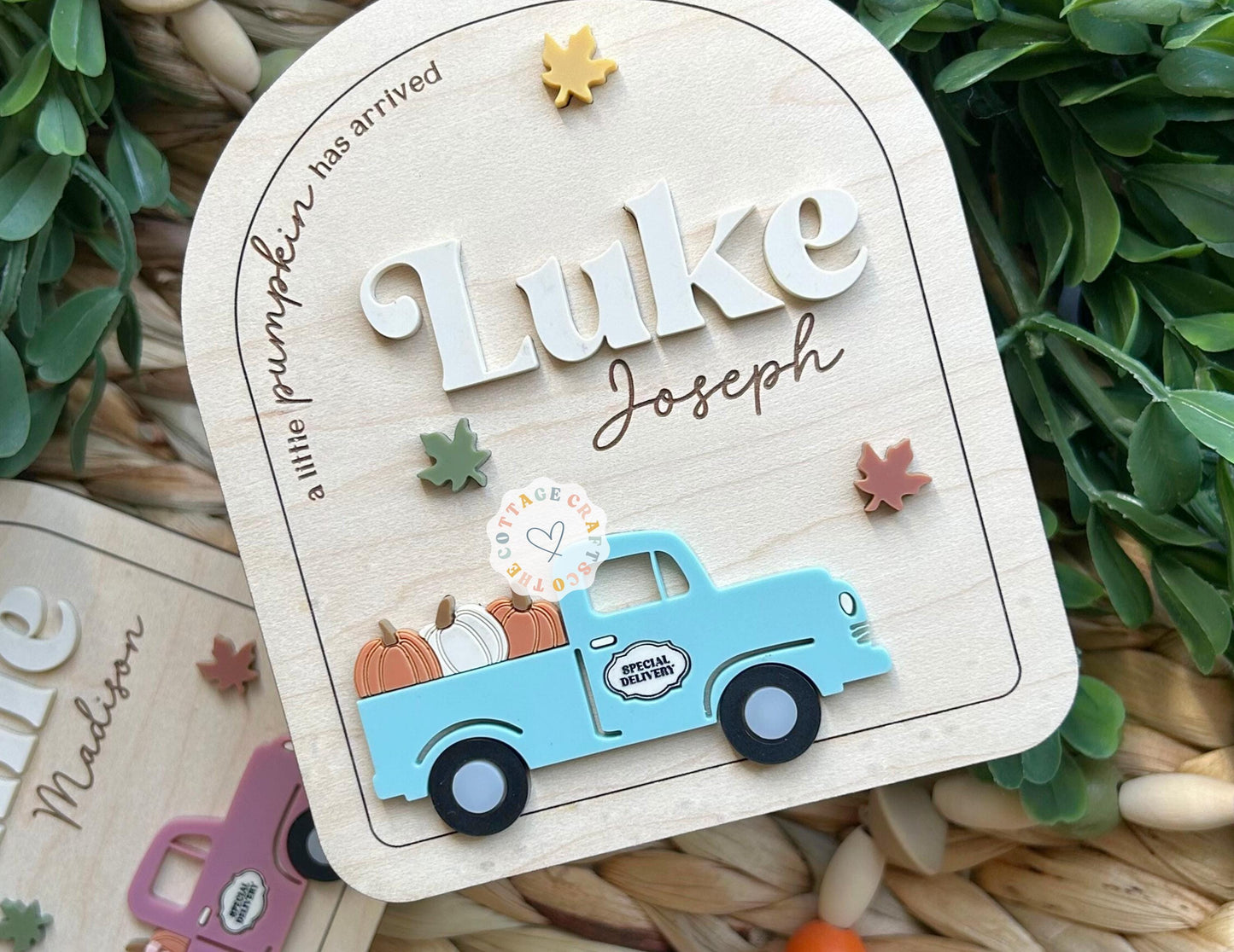Personalized Autumn Baby Name Sign: Newborn Photo Prop