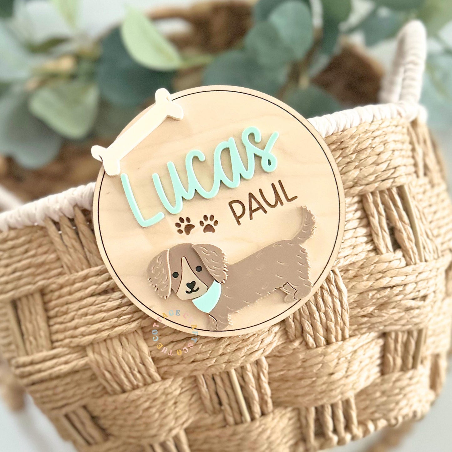 Dachshund Baby Name Sign, Personalized Puppy Birth Announcement, Custom Newborn Name Plaque, Dog Nursery Decor, Baby Name Reveal Keepsake